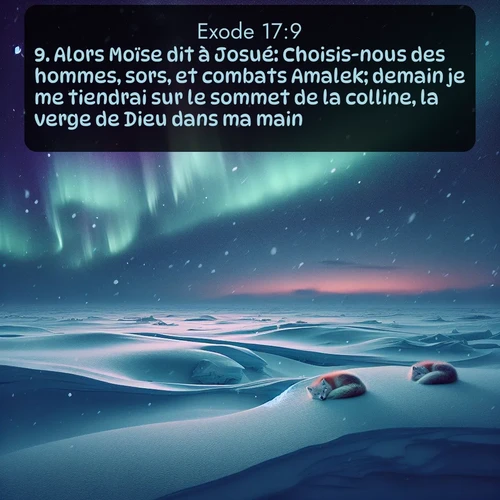 Segond Exode  ; image nature: image avec le verset biblique :Alors Moïse dit à Josué: Choisis-nous des hommes, sors, et combats Amalek; demain je me tiendrai sur le sommet de la colline, la verge de Dieu dans ma main. ;  ; 17:9
