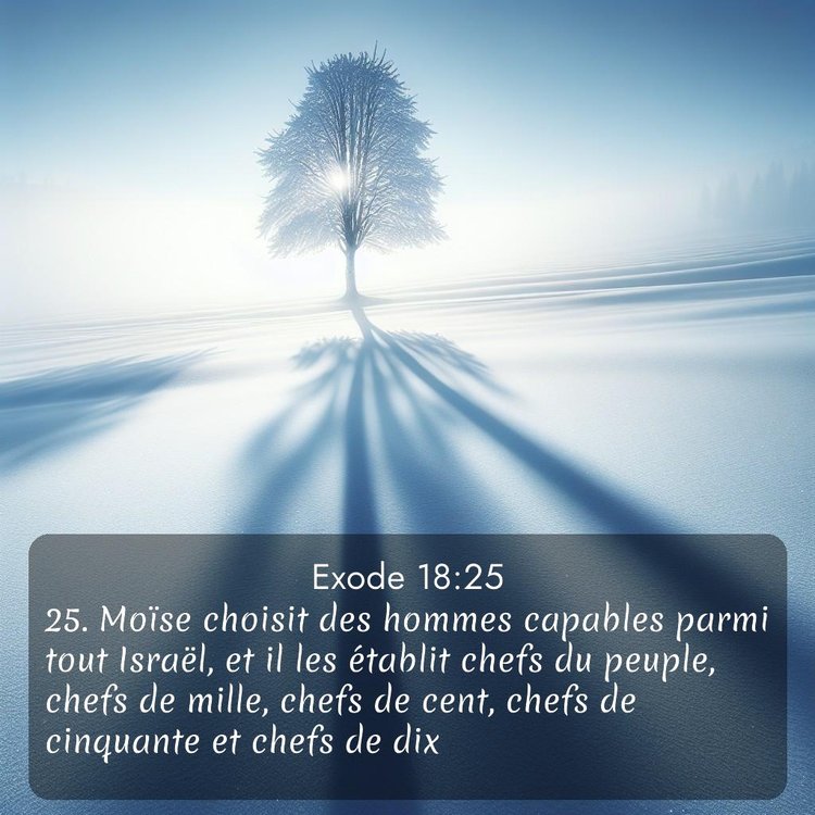 Segond Exode 18:25