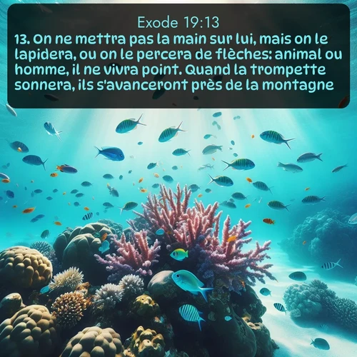 Segond Exode  ; image nature: image avec le verset biblique :On ne mettra pas la main sur lui, mais on le lapidera, ou on le percera de flèches: animal ou homme, il ne vivra point. Quand la trompette sonnera, ils s&#039;avanceront près de la montagne. ;  ; 19:13