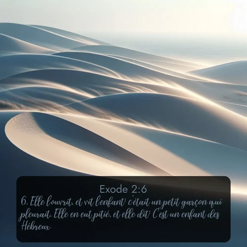 Segond Exode  ; image nature: image avec le verset biblique :Elle l&#039;ouvrit, et vit l&#039;enfant: c&#039;était un petit garçon qui pleurait. Elle en eut pitié, et elle dit: C&#039;est un enfant des Hébreux! ;  ; 2:6