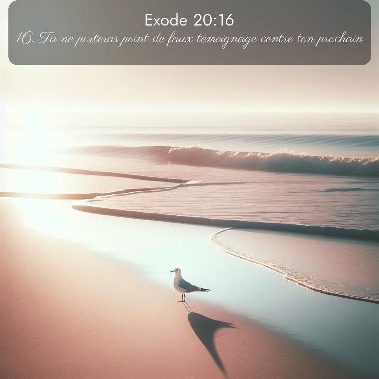 Segond Exode 20:16