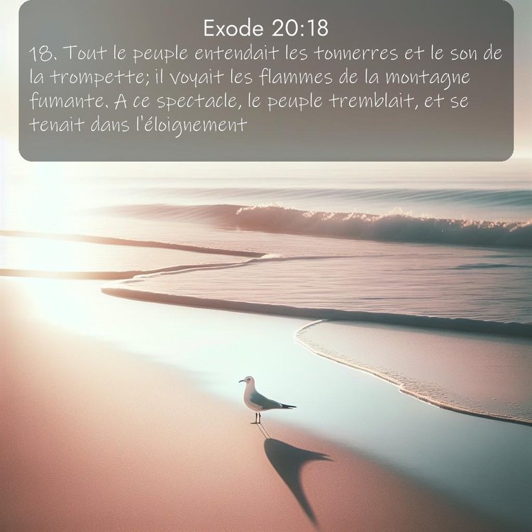 Segond Exode 20:18