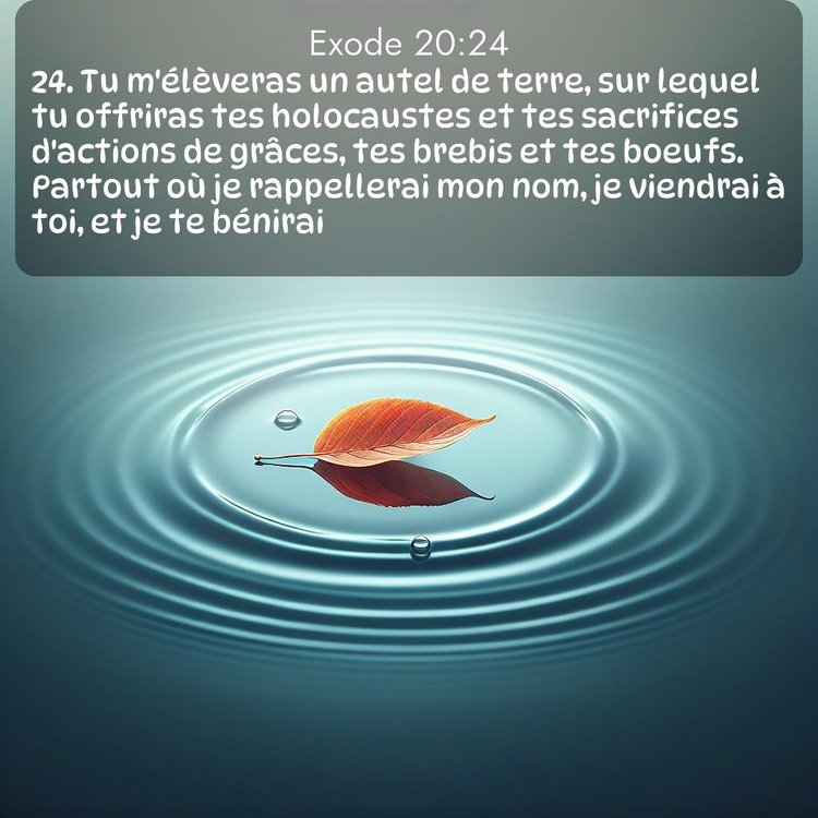 Segond Exode 20:24