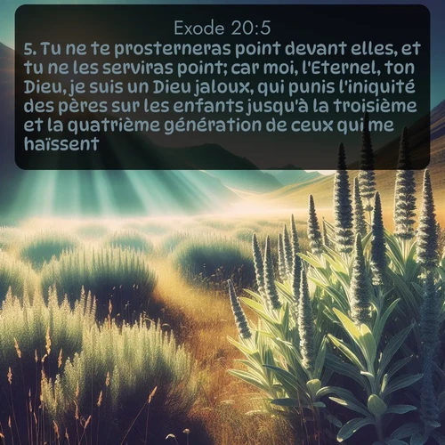 Segond Exode  ; image nature: image avec le verset biblique :Tu ne te prosterneras point devant elles, et tu ne les serviras point; car moi, l&#039;Eternel, ton Dieu, je suis un Dieu jaloux, qui punis l&#039;iniquité des pères sur les enfants jusqu&#039;à la troisième et la quatrième génération de ceux qui me haïssent, ;  ; 20:5