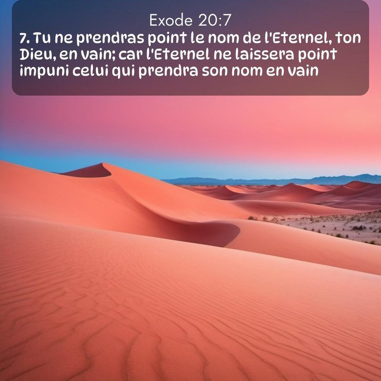 Segond Exode 20:7