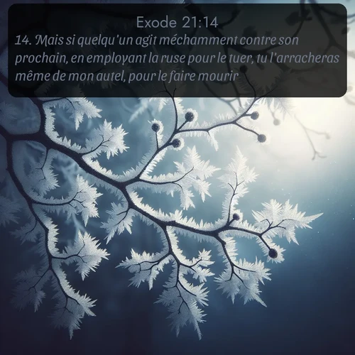 Segond Exode  ; image nature: image avec le verset biblique :Mais si quelqu&#039;un agit méchamment contre son prochain, en employant la ruse pour le tuer, tu l&#039;arracheras même de mon autel, pour le faire mourir. ;  ; 21:14