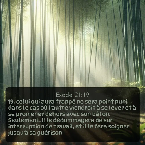 Segond Exode  ; image nature: image avec le verset biblique :celui qui aura frappé ne sera point puni, dans le cas où l&#039;autre viendrait à se lever et à se promener dehors avec son bâton. Seulement, il le dédommagera de son interruption de travail, et il le fera soigner jusqu&#039;à sa guérison. ;  ; 21:19