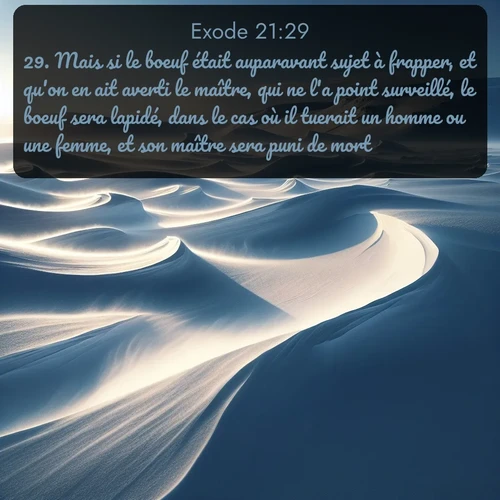 Segond Exode  ; image nature: image avec le verset biblique :Mais si le boeuf était auparavant sujet à frapper, et qu&#039;on en ait averti le maître, qui ne l&#039;a point surveillé, le boeuf sera lapidé, dans le cas où il tuerait un homme ou une femme, et son maître sera puni de mort. ;  ; 21:29
