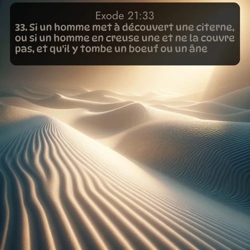 Segond Exode  ; image nature: image avec le verset biblique :Si un homme met à découvert une citerne, ou si un homme en creuse une et ne la couvre pas, et qu&#039;il y tombe un boeuf ou un âne, ;  ; 21:33
