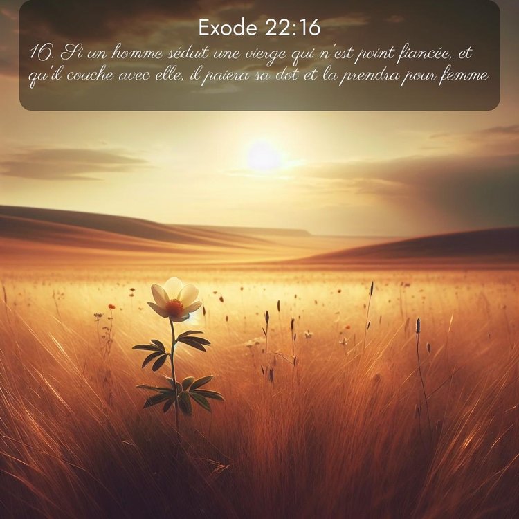 Segond Exode 22:16