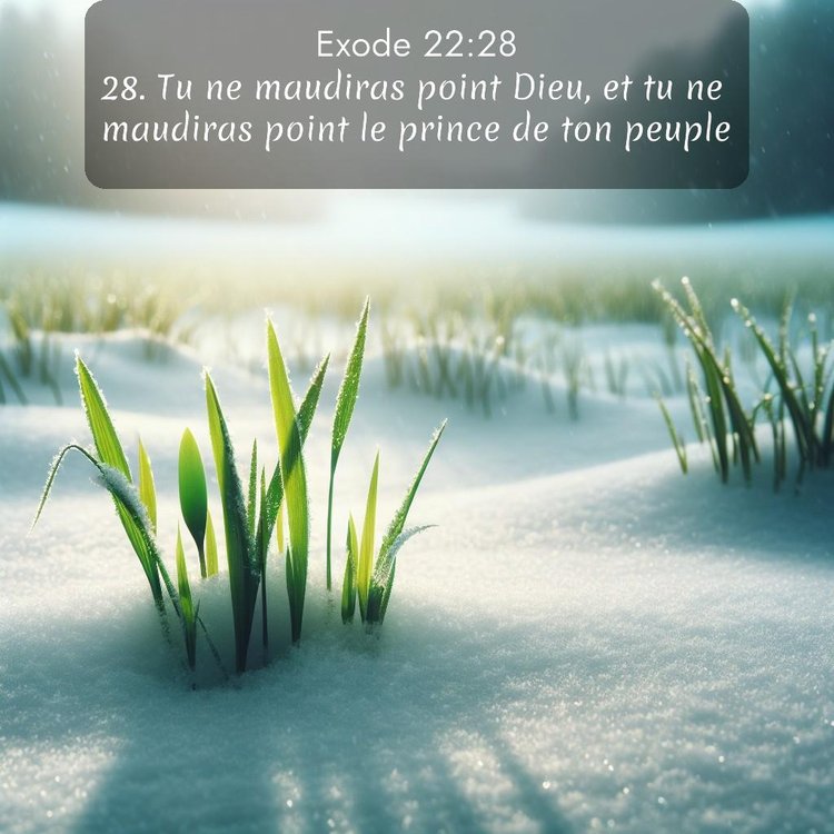 Segond Exode 22:28