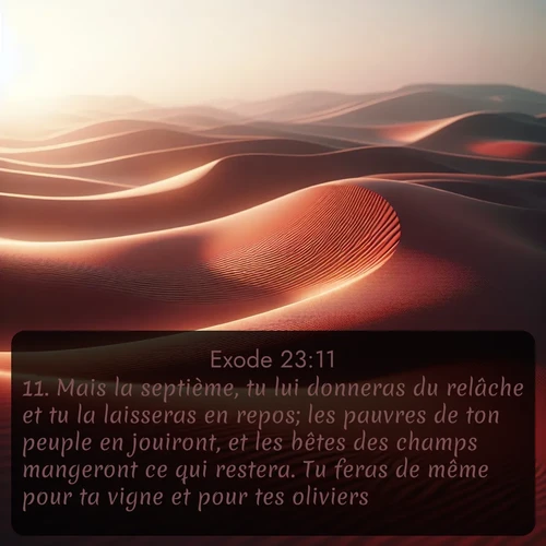 Segond Exode  ; image nature: image avec le verset biblique :Mais la septième, tu lui donneras du relâche et tu la laisseras en repos; les pauvres de ton peuple en jouiront, et les bêtes des champs mangeront ce qui restera. Tu feras de même pour ta vigne et pour tes oliviers. ;  ; 23:11