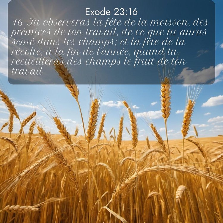 Segond Exode 23:16