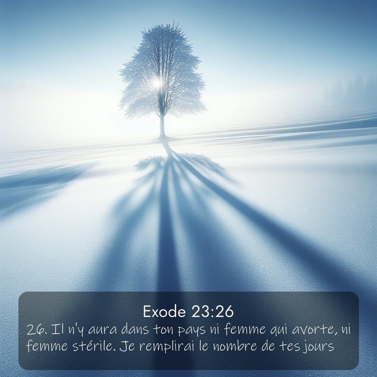 Segond Exode 23:26