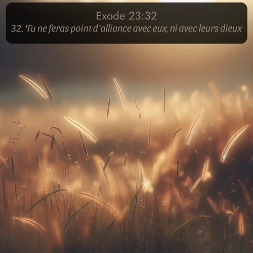 Segond Exode  ; image nature: image avec le verset biblique :Tu ne feras point d&#039;alliance avec eux, ni avec leurs dieux. ;  ; 23:32