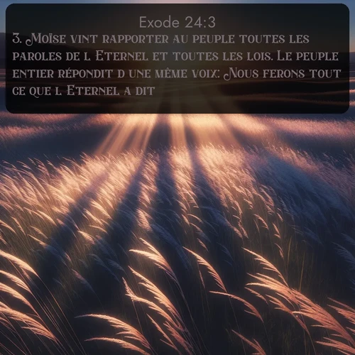 Segond 2 24:3