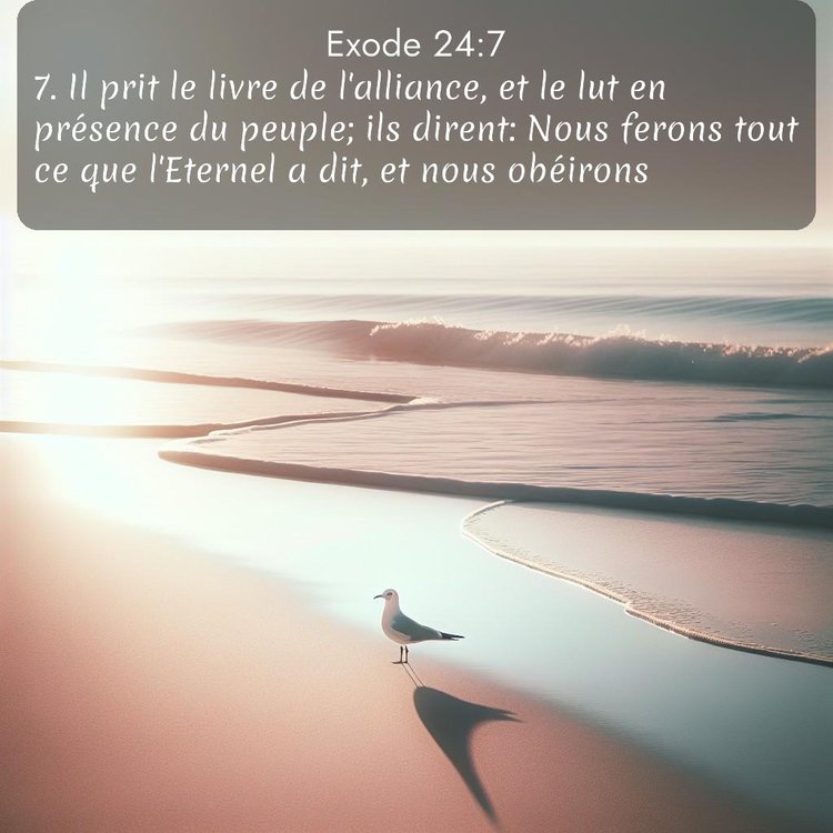 Segond Exode 24:7