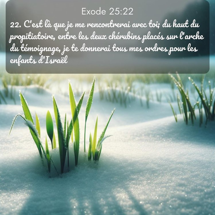 Segond Exode 25:22