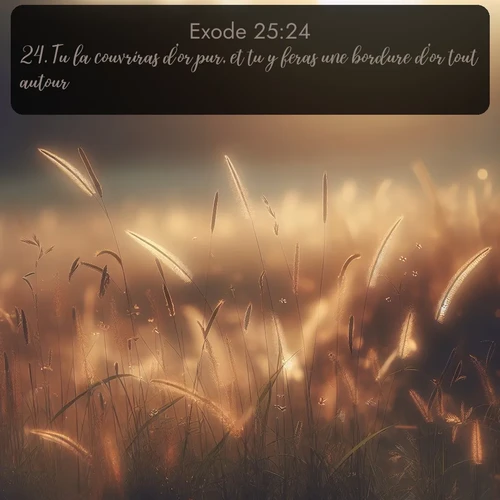 Segond Exode  ; image nature: image avec le verset biblique :Tu la couvriras d&#039;or pur, et tu y feras une bordure d&#039;or tout autour. ;  ; 25:24