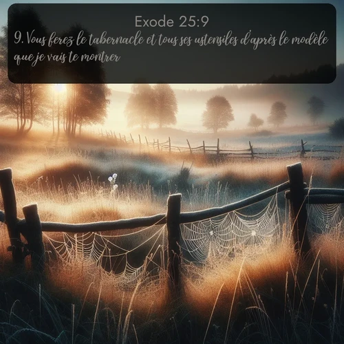 Segond Exode  ; image nature: image avec le verset biblique :Vous ferez le tabernacle et tous ses ustensiles d&#039;après le modèle que je vais te montrer. ;  ; 25:9