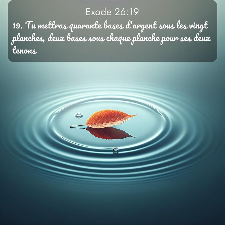 Segond Exode 26:19