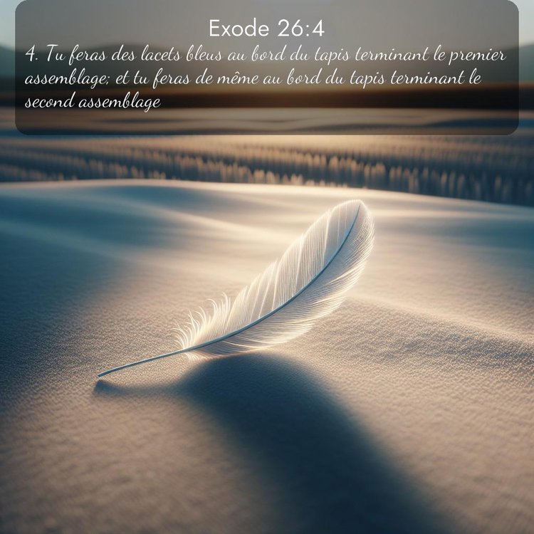 Segond Exode 26:4