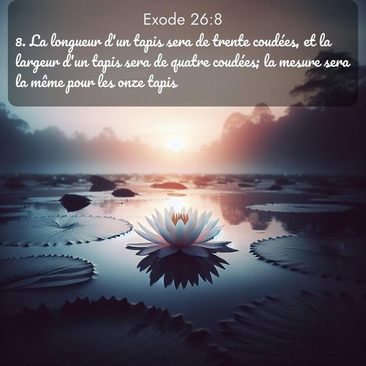 Segond Exode 26:8