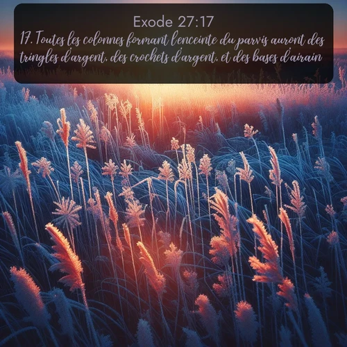 Segond Exode  ; image nature: image avec le verset biblique :Toutes les colonnes formant l&#039;enceinte du parvis auront des tringles d&#039;argent, des crochets d&#039;argent, et des bases d&#039;airain. ;  ; 27:17