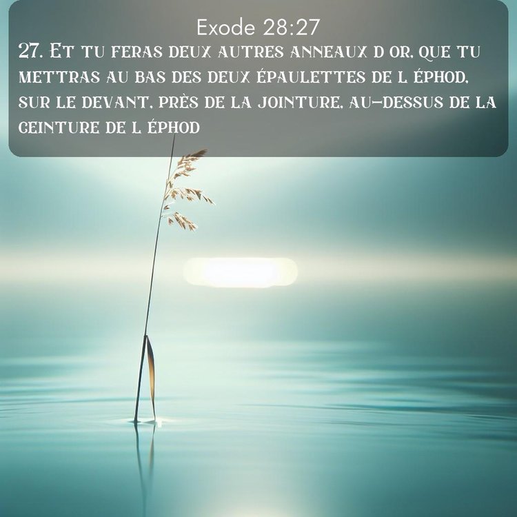 Segond Exode 28:27