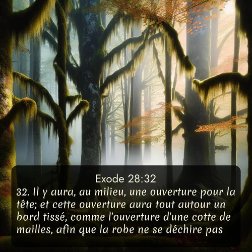 Segond Exode  ; image nature: image avec le verset biblique :Il y aura, au milieu, une ouverture pour la tête; et cette ouverture aura tout autour un bord tissé, comme l&#039;ouverture d&#039;une cotte de mailles, afin que la robe ne se déchire pas. ;  ; 28:32