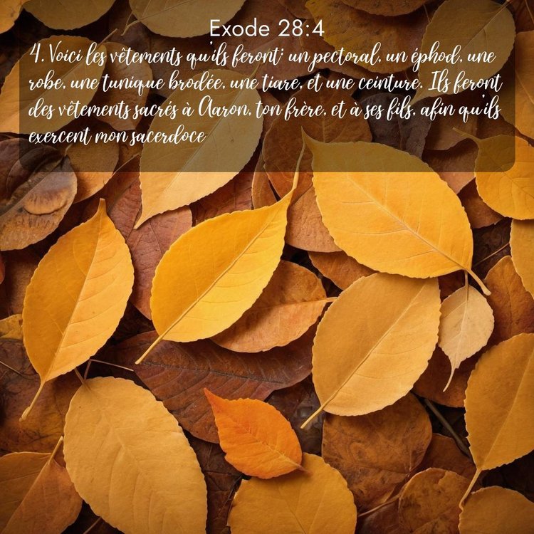 image nature avec verset biblique de la Bible