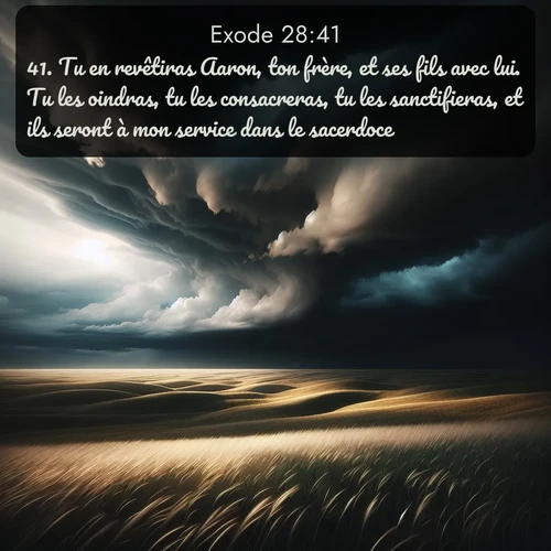 Segond Exode  ; image nature: image avec le verset biblique :Tu en revêtiras Aaron, ton frère, et ses fils avec lui. Tu les oindras, tu les consacreras, tu les sanctifieras, et ils seront à mon service dans le sacerdoce. ;  ; 28:41