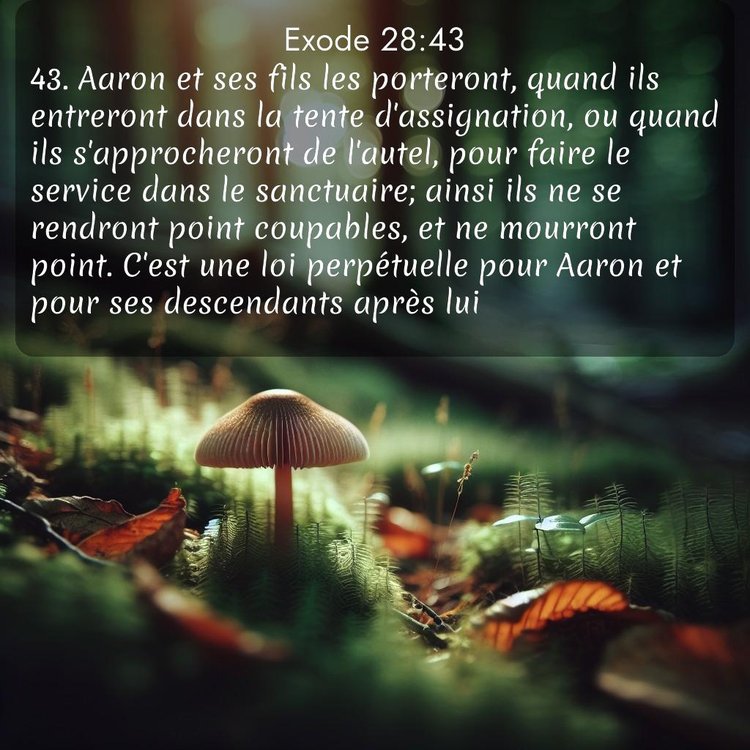 Segond Exode 28:43