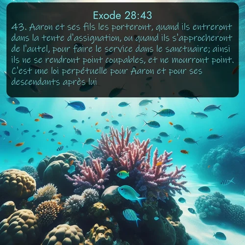 Segond Exode  ; image nature: image avec le verset biblique :Aaron et ses fils les porteront, quand ils entreront dans la tente d&#039;assignation, ou quand ils s&#039;approcheront de l&#039;autel, pour faire le service dans le sanctuaire; ainsi ils ne se rendront point coupables, et ne mourront point. C&#039;est une loi perpétuelle pour Aaron et pour ses descendants après lui. ;  ; 28:43