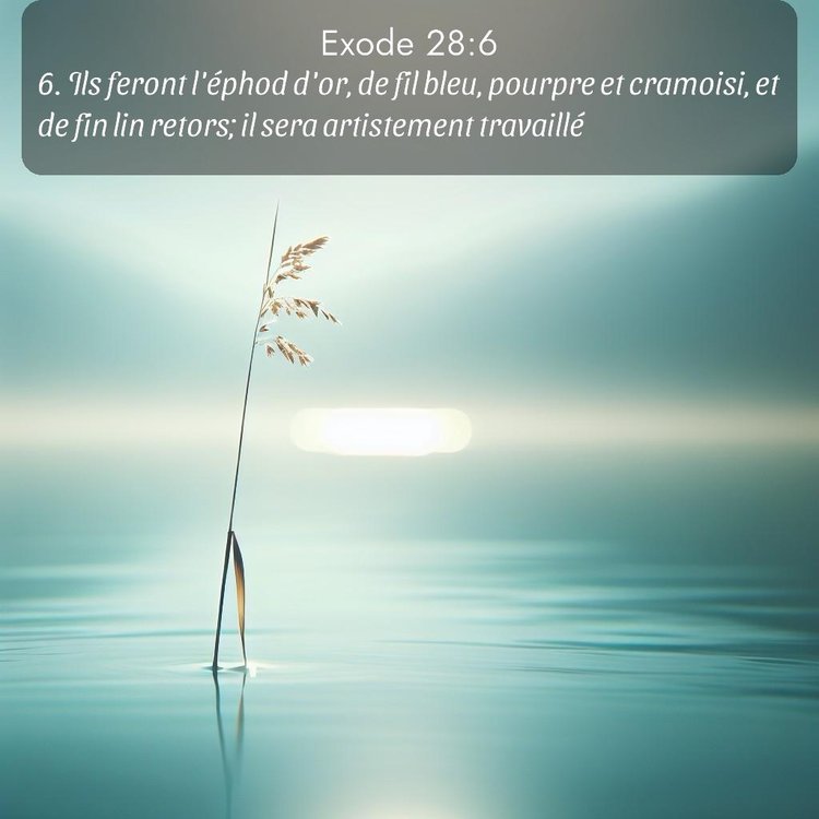 Segond Exode 28:6