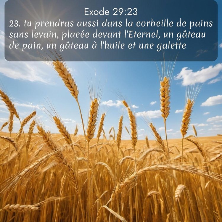 image nature avec verset biblique de la Bible