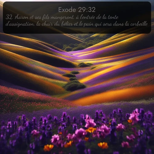 Segond Exode  ; image nature: image avec le verset biblique :Aaron et ses fils mangeront, à l&#039;entrée de la tente d&#039;assignation, la chair du bélier et le pain qui sera dans la corbeille. ;  ; 29:32