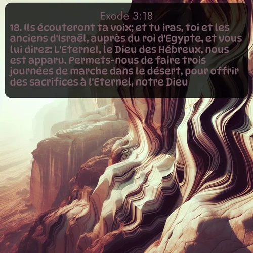 Segond Exode  ; image nature: image avec le verset biblique :Ils écouteront ta voix; et tu iras, toi et les anciens d&#039;Israël, auprès du roi d&#039;Egypte, et vous lui direz: L&#039;Eternel, le Dieu des Hébreux, nous est apparu. Permets-nous de faire trois journées de marche dans le désert, pour offrir des sacrifices à l&#039;Eternel, notre Dieu. ;  ; 3:18