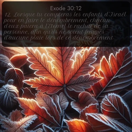 Segond Exode  ; image nature: image avec le verset biblique :Lorsque tu compteras les enfants d&#039;Israël pour en faire le dénombrement, chacun d&#039;eux paiera à l&#039;Eternel le rachat de sa personne, afin qu&#039;ils ne soient frappés d&#039;aucune plaie lors de ce dénombrement. ;  ; 30:12