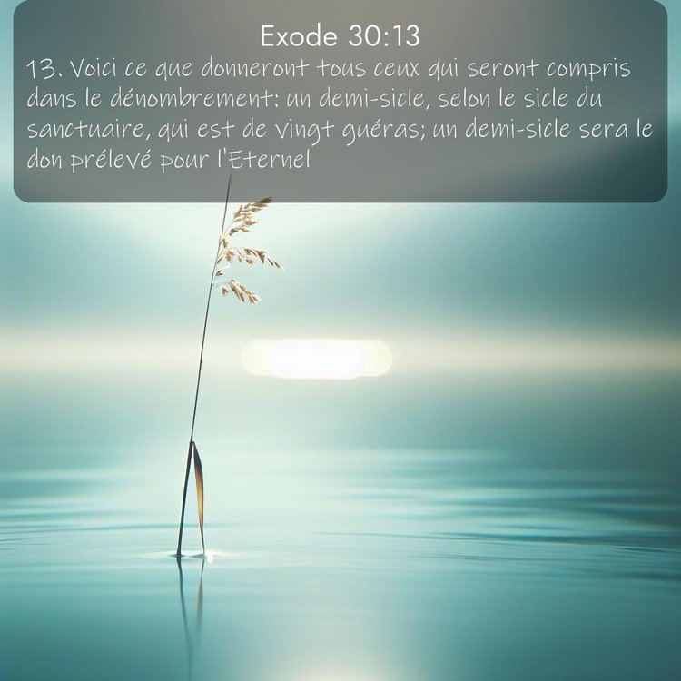 image nature avec verset biblique de la Bible
