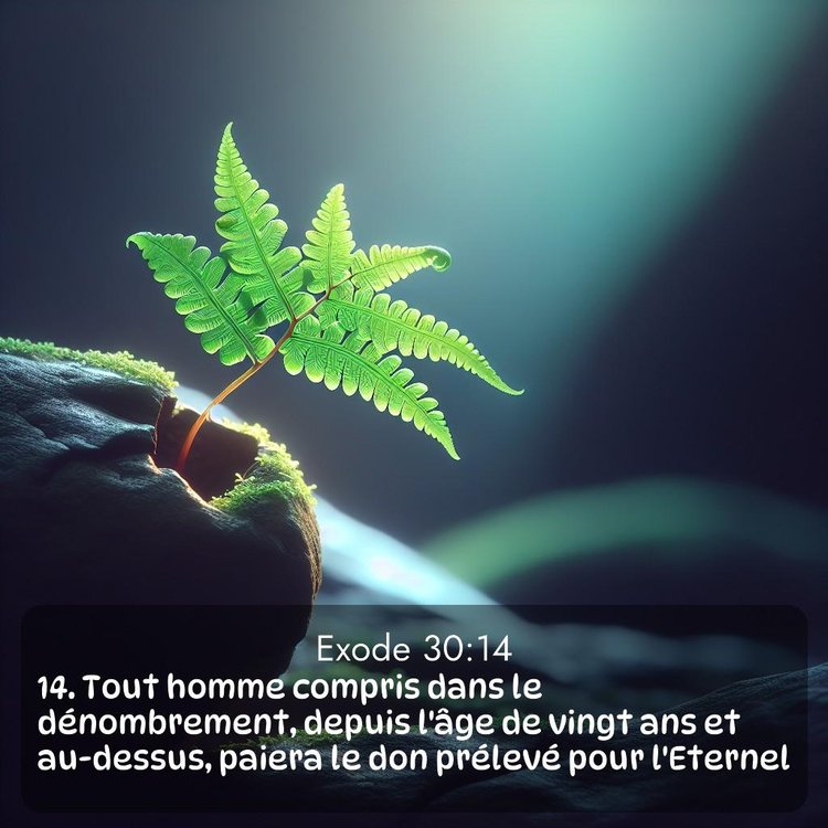 image nature avec verset biblique de la Bible