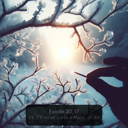 Segond Exode  ; image nature: image avec le verset biblique :L&#039;Eternel parla à Moïse, et dit: ;  ; 30:17
