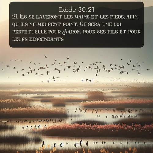 Segond Exode  ; image nature: image avec le verset biblique :Ils se laveront les mains et les pieds, afin qu&#039;ils ne meurent point. Ce sera une loi perpétuelle pour Aaron, pour ses fils et pour leurs descendants. ;  ; 30:21