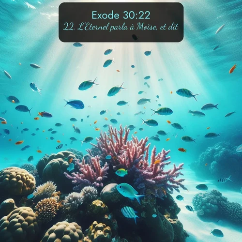Segond Exode  ; image nature: image avec le verset biblique :L&#039;Eternel parla à Moïse, et dit: ;  ; 30:22