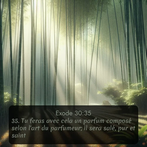 Segond Exode  ; image nature: image avec le verset biblique :Tu feras avec cela un parfum composé selon l&#039;art du parfumeur; il sera salé, pur et saint. ;  ; 30:35