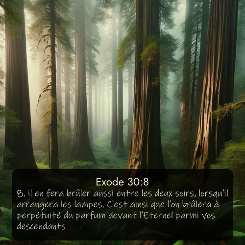 Segond Exode  ; image nature: image avec le verset biblique :il en fera brûler aussi entre les deux soirs, lorsqu&#039;il arrangera les lampes. C&#039;est ainsi que l&#039;on brûlera à perpétuité du parfum devant l&#039;Eternel parmi vos descendants. ;  ; 30:8