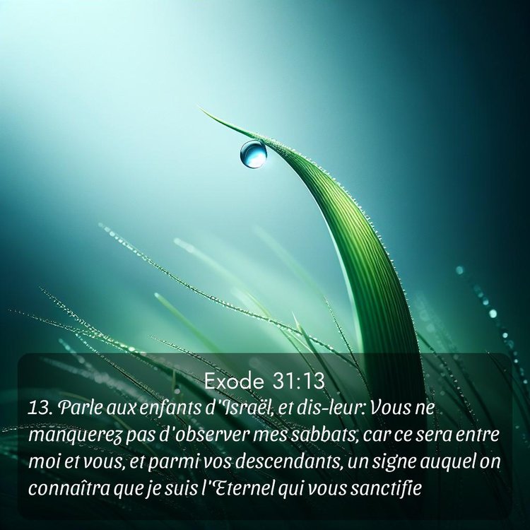 Segond Exode 31:13