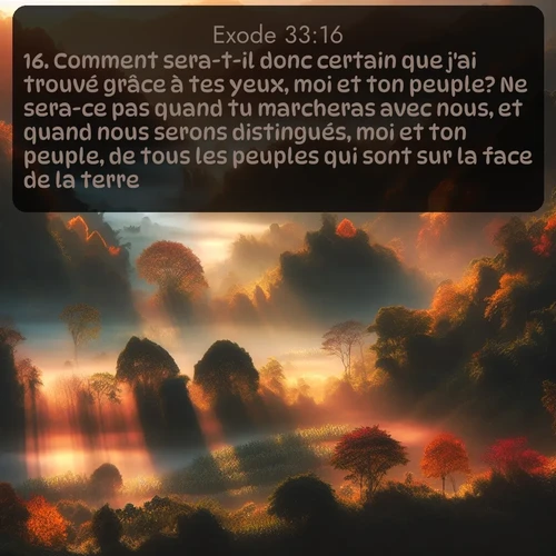 Segond Exode  ; image nature: image avec le verset biblique :Comment sera-t-il donc certain que j&#039;ai trouvé grâce à tes yeux, moi et ton peuple? Ne sera-ce pas quand tu marcheras avec nous, et quand nous serons distingués, moi et ton peuple, de tous les peuples qui sont sur la face de la terre? ;  ; 33:16