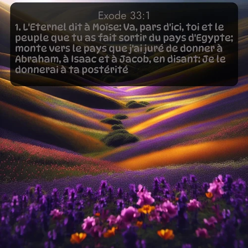 Segond 2 33:1