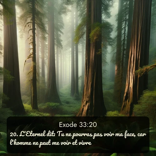 Segond Exode  ; image nature: image avec le verset biblique :L&#039;Eternel dit: Tu ne pourras pas voir ma face, car l&#039;homme ne peut me voir et vivre. ;  ; 33:20